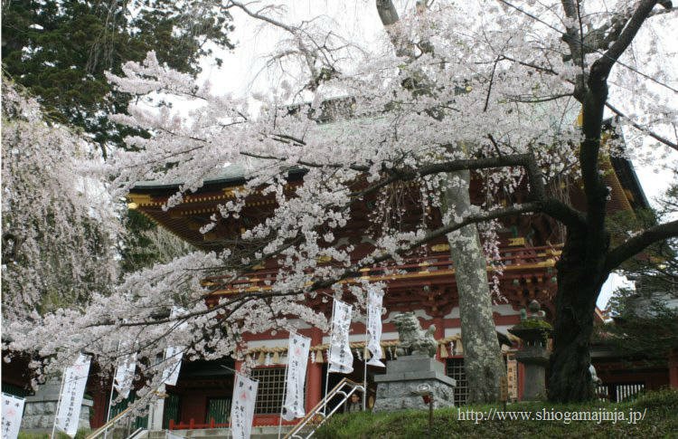 塩竈神社