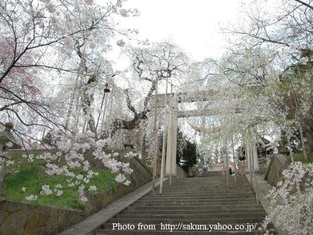 烏帽子山公園-大鳥居