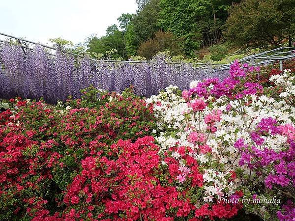 足利花卉公園