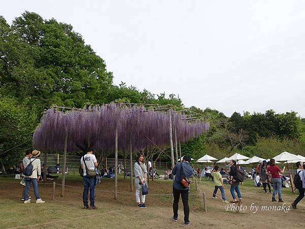 足利花卉公園