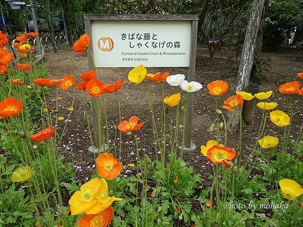 足利花卉公園