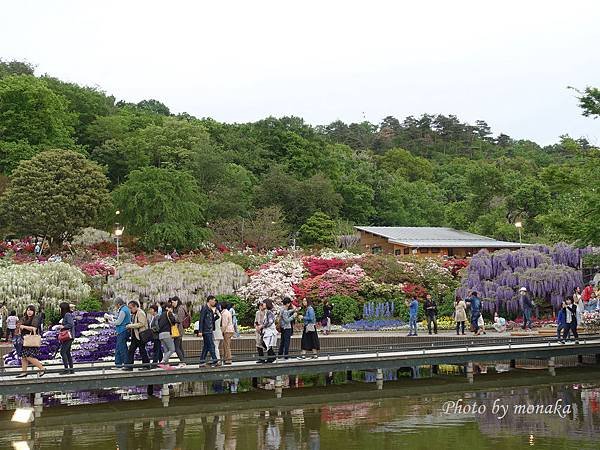 足利花卉公園