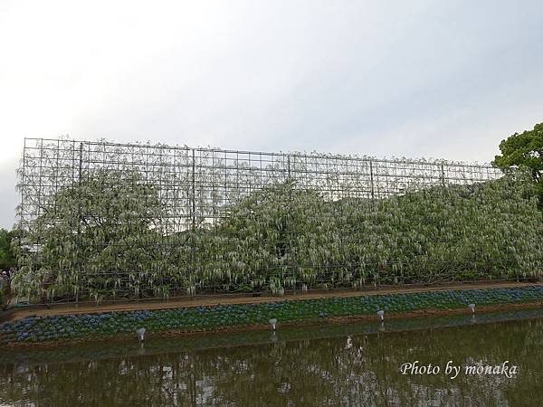 足利花卉公園