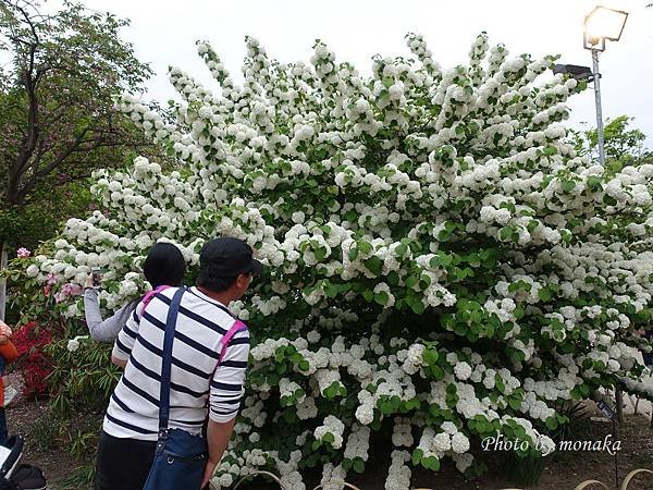 足利花卉公園