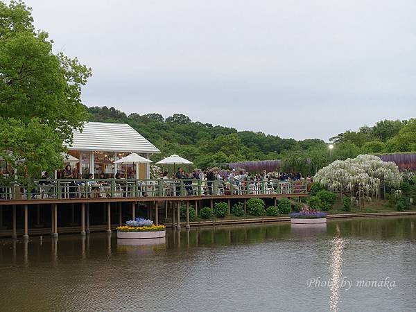 足利花卉公園