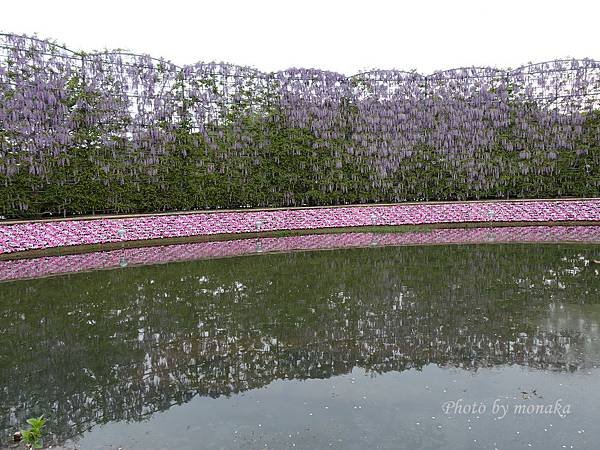 足利花卉公園