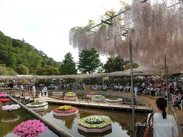 足利花卉公園