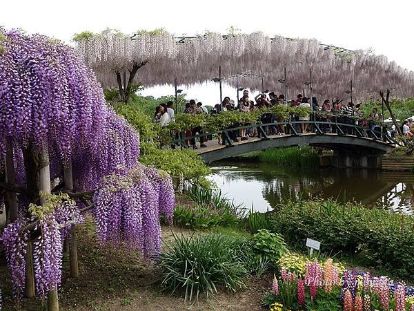 足利花卉公園