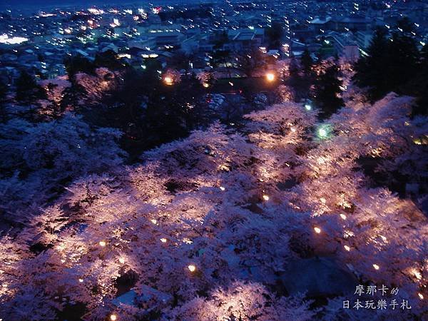 福島_鶴ヶ城 夜櫻