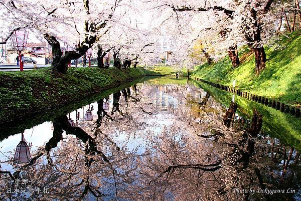 青森_弘前城東濠