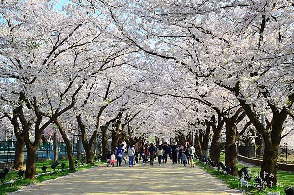 高田城公園