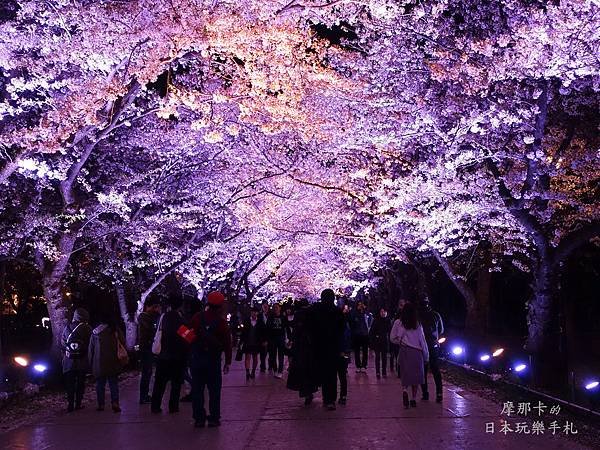 高田城公園