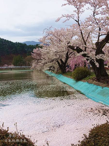 臥龍公園_花筏