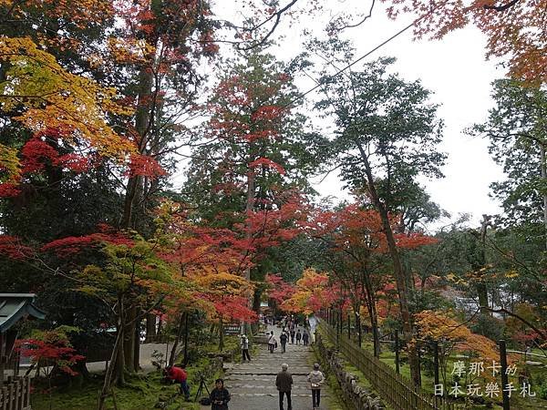 DSC09378西明寺_從二天門往下看.jpg