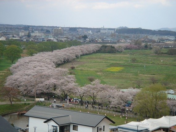 北上展勝地~陣ｹ丘