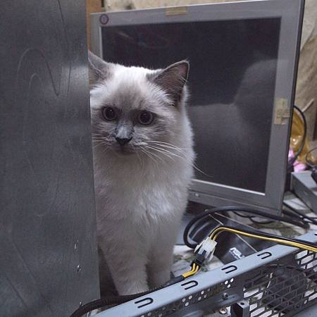電腦主機內部世界