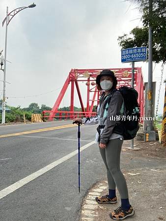山蔘青年丹.pixnet45.jpg