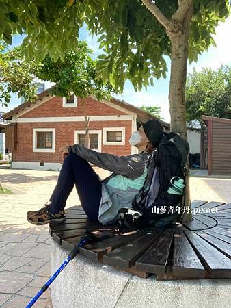 山蔘青年丹.pixnet_樹下乘涼.jpg