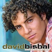 David Bisbal4