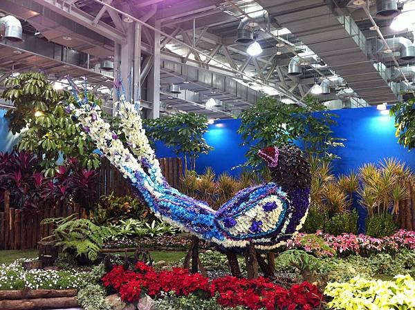 2012花卉展