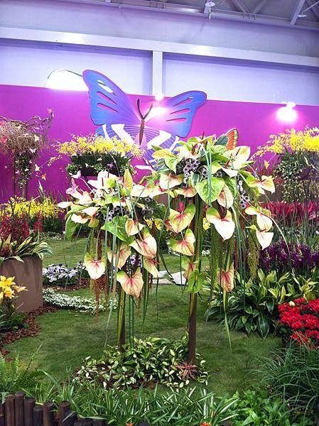 2012花卉展