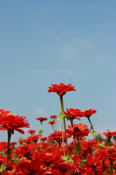 IMG_3000_nEO_IMG.jpg
