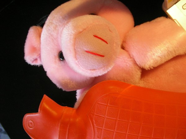 mr. pig~hot water bag 豬先生熱水袋