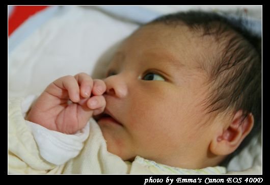 081115Baby_0007.jpg