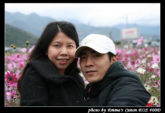 090127波斯菊花海_0006.jpg