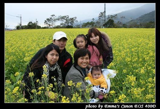090127波斯菊花海_0017.jpg