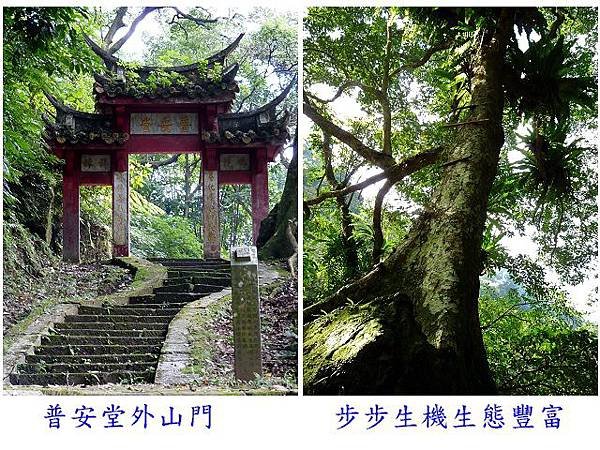 普安堂路觀201312 (1)