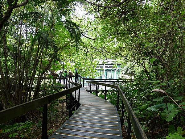 芝山岩 路觀 (5)