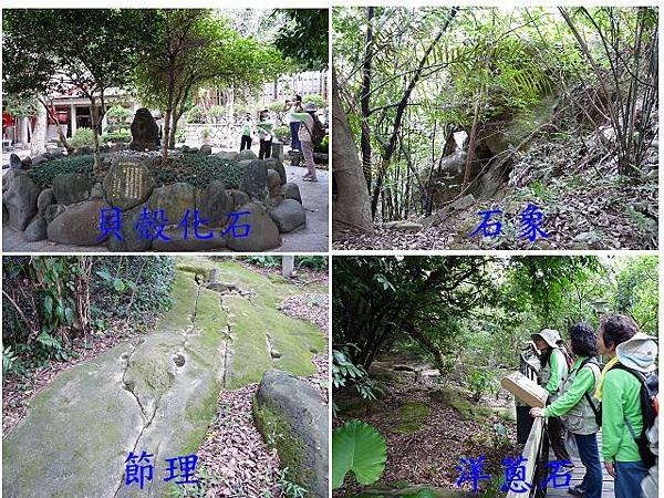 芝山岩 路觀 (6)