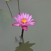 DSC02998.JPG