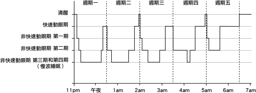 睡眠的結構.png