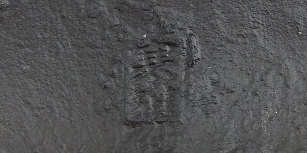 600x300-2015032000011