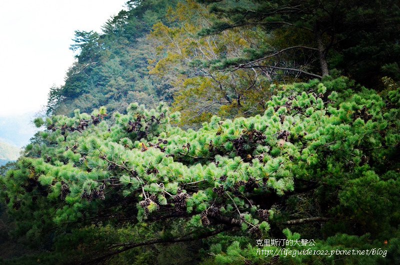 奧萬大 240_副本.jpg
