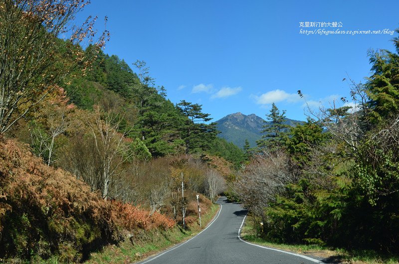 武陵&amp;福壽山 470_副本.jpg
