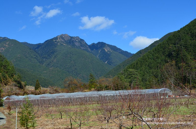 武陵&amp;福壽山 500_副本.jpg