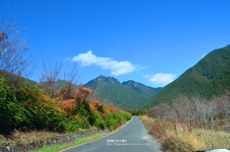武陵&amp;福壽山 527_副本.jpg