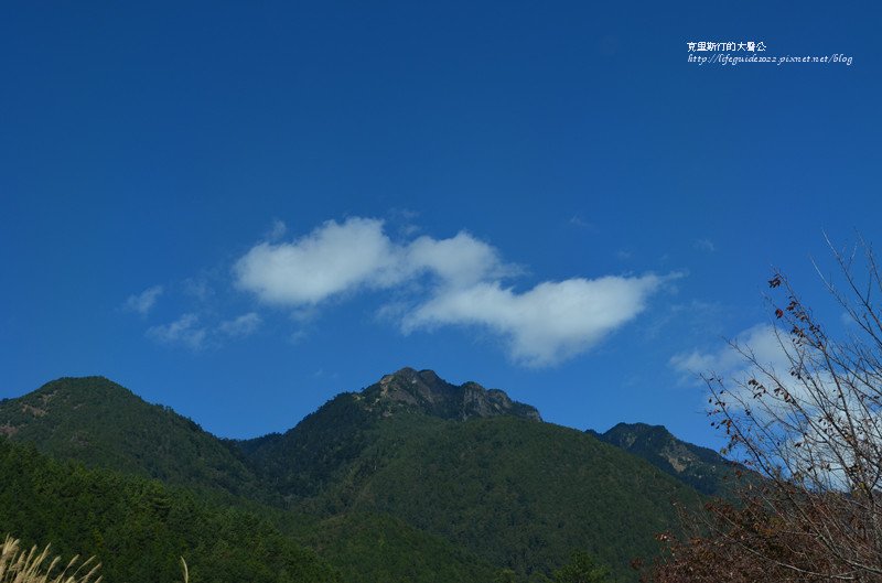 武陵&amp;福壽山 532_副本.jpg