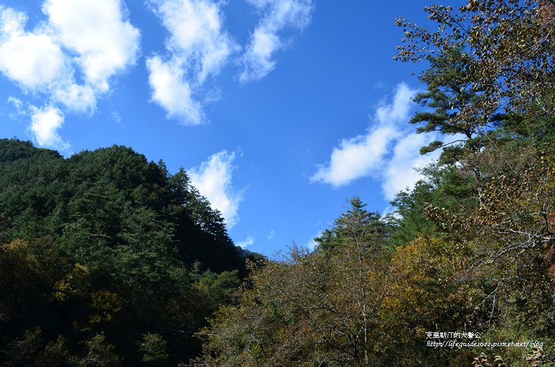 武陵&amp;福壽山 594_副本.jpg
