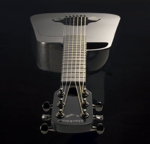 blackbird04.jpg
