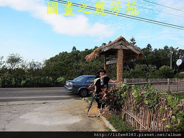 四界七淘趴趴走---黃色小鴨到桃園縣新屋鄉 (39).jpg