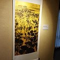 看畫展 (30).jpg