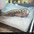 八嘴七舌吃美食---八德興人夜市 (165).jpg