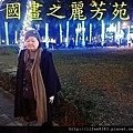 新北市歡樂耶誕城--夜拍篇 (36).jpg