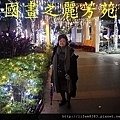 新北市歡樂耶誕城--夜拍篇 (42).jpg