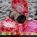 2015 新春大年初一逛鶯歌老街 (21).jpg