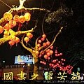 2015 桃園燈節--在龍潭大池---快熄燈篇 (9).jpg